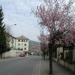 AUX
